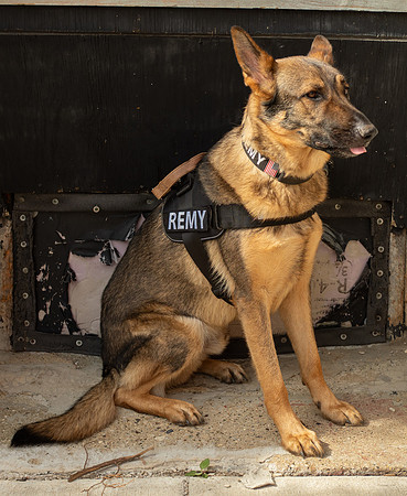 REMY050725_009
