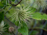 JXNJC-n-A2JC-Colorado_002