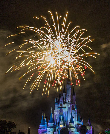 MNSSHP Fireworks10