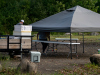 CnQ2025_019