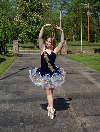 Erdp_2024-17_pp