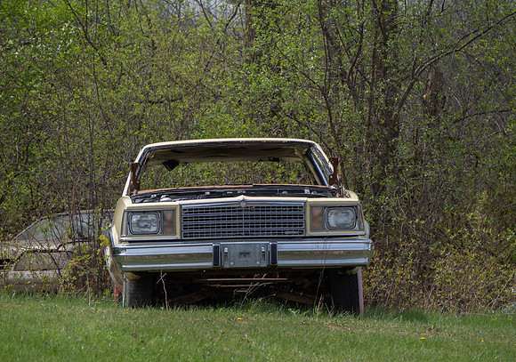 SS050325_008