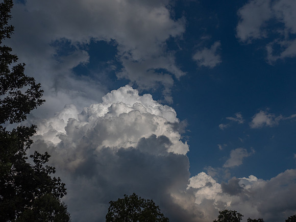 Partly Cloudy