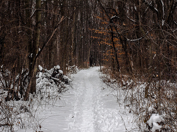 A Winter Hike