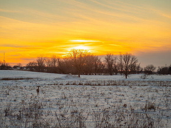 Alone with the Setting Sun