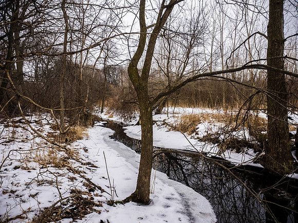 An Afternoon Trek
