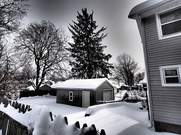 Backyards
