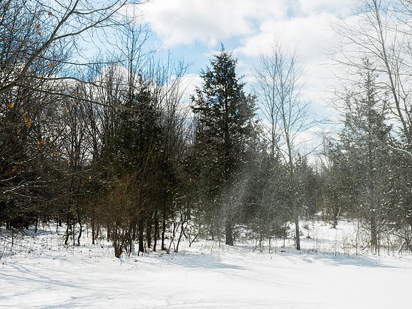 Blowing Snow2222