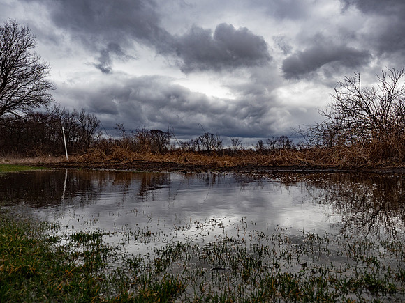 Puddles