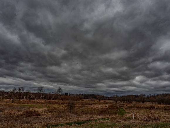 The Day is Gray and Lonely