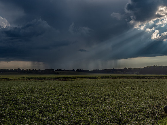 Sunshine and Showers
