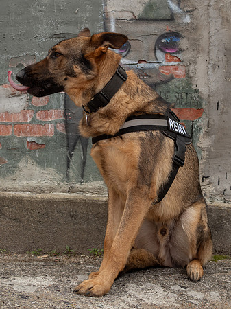 REMY050725_011