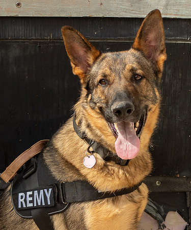 REMY050725_003