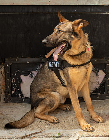 REMY050725_005