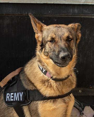 REMY050725_008