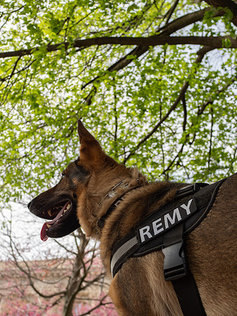 REMY050725_017