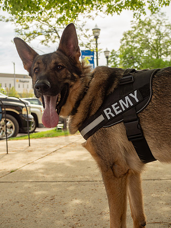 REMY050725_019