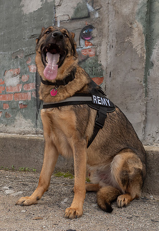 REMY050725_013