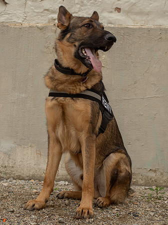 REMY050725_010