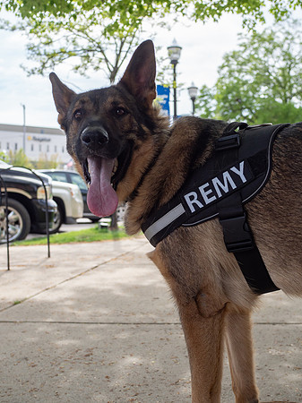 REMY050725_018