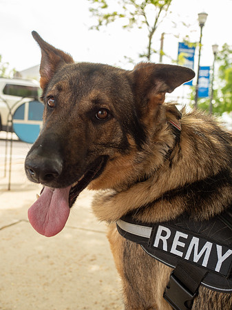 REMY050725_016