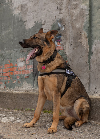 REMY050725_015