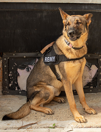 REMY050725_007